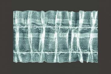 Gardinenschienenband Universal transparent 50 mm 