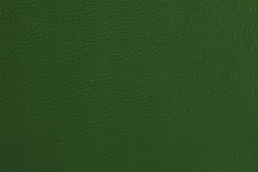 Kunstleder - Deluxe Grün