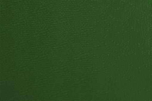 Kunstleder - Deluxe Grün