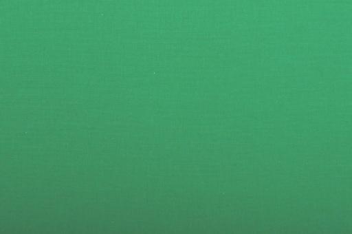 Baumwollstoff 275 cm breit Green Screen
