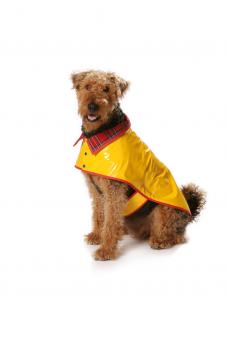 burda Schnittmuster 7752 - Hundemantel 