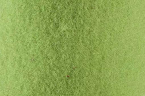 Wollfilz - 15 cm breit - 5 Meter-Rolle Hellgrün