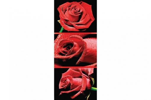 Deko-Banner - Rote Rosen 