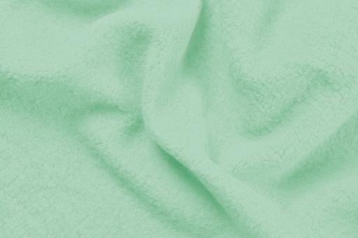 Jersey-Fleece Mint