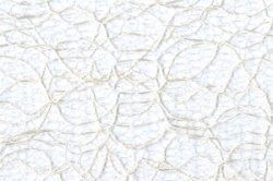 Laceband 40mm - 20 Meter Rolle Champagner