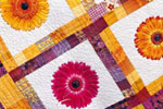 Patchwork und Quilt